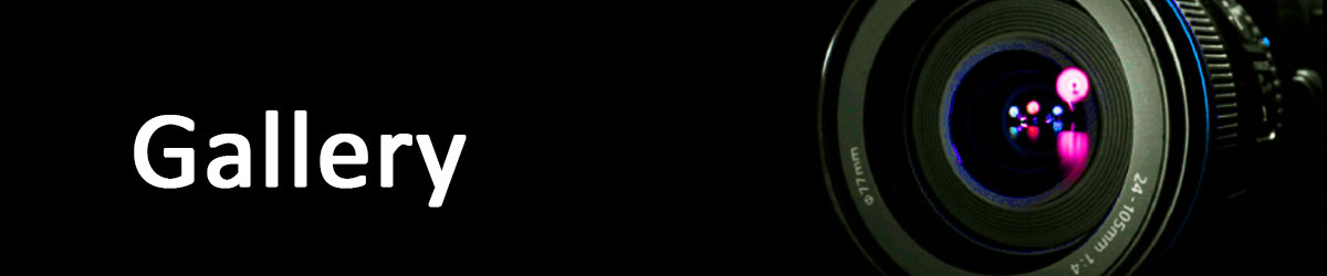 Gallery banner